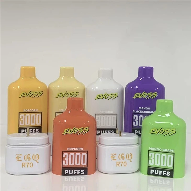3000 Puffs Box Electronic Cigarettes Vape Pod