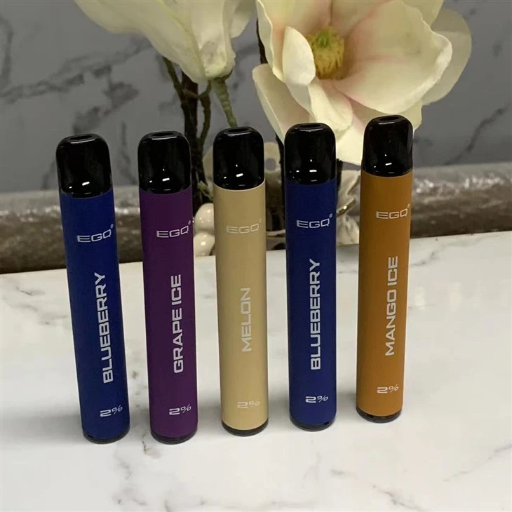China Make E-Cigarette Vape Pen 600 Puffs