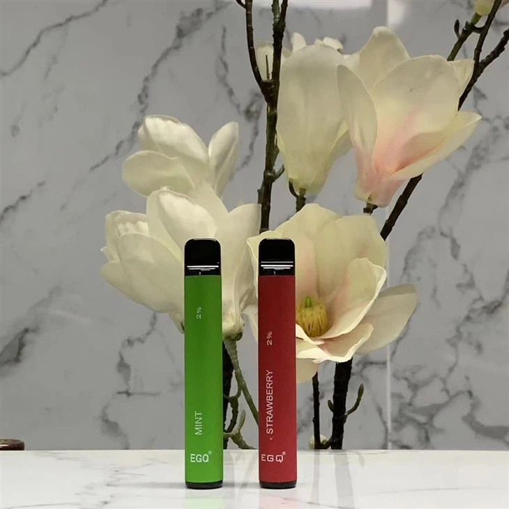 Disposable Electronic Cigarette With 600 Puffs