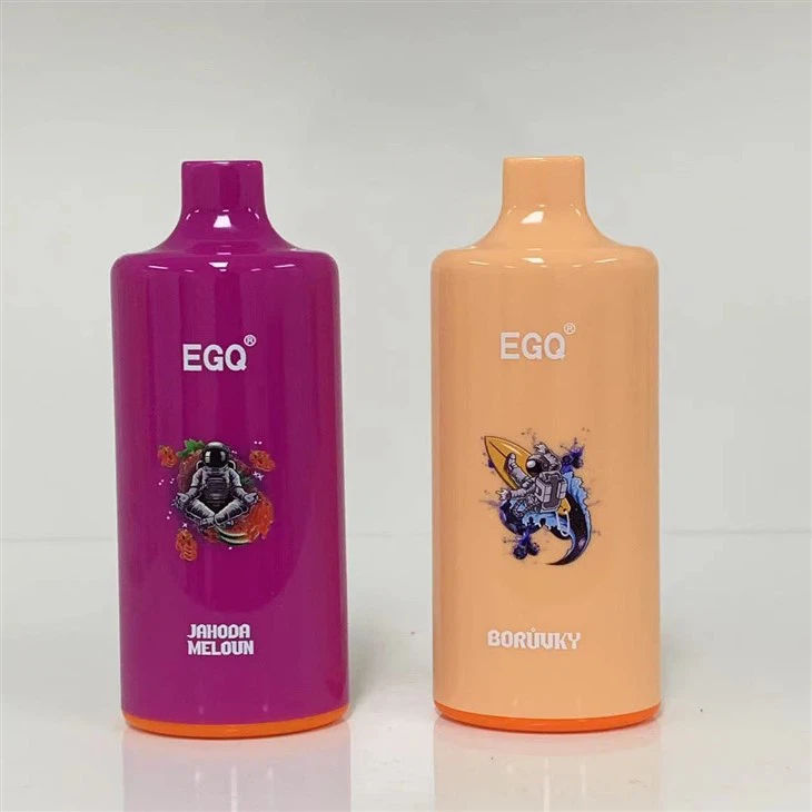 Wholesale Vapes Disposable E Cigarette With 10000 Puffs